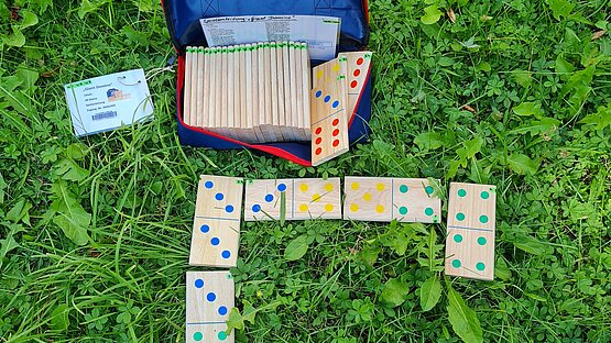 Giant Dominoes